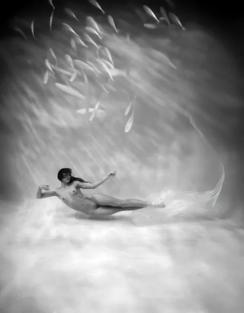 Fish to surrender and flow into peace