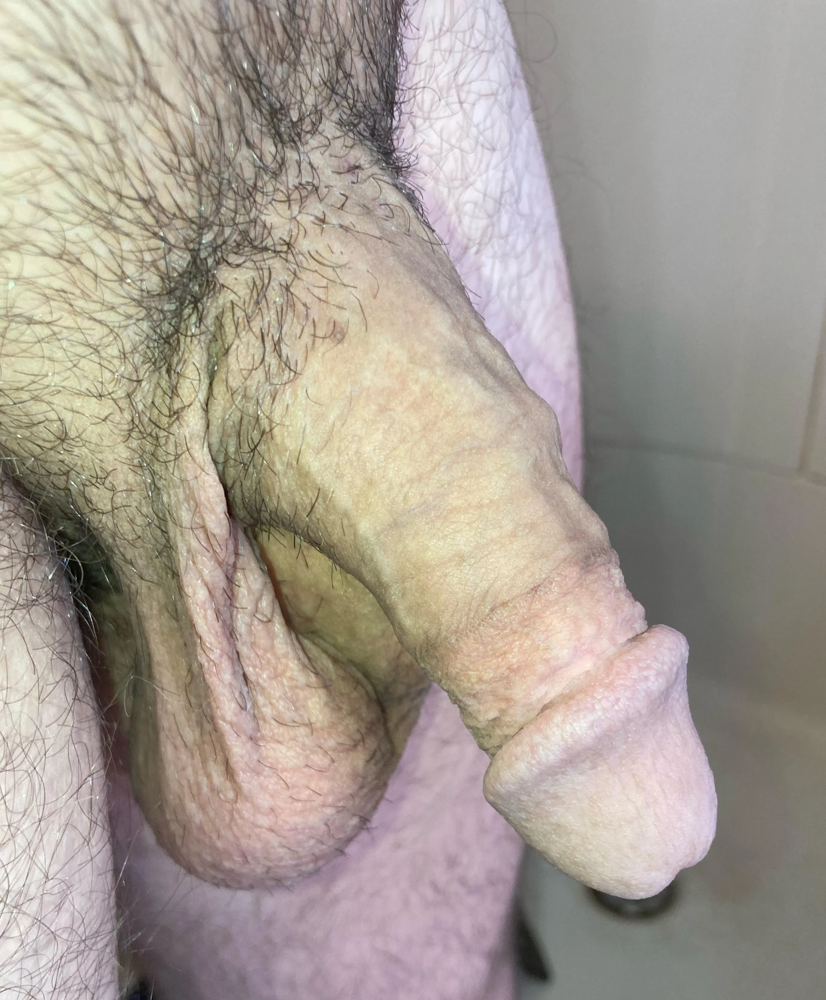 I need a trans queen to get it hard