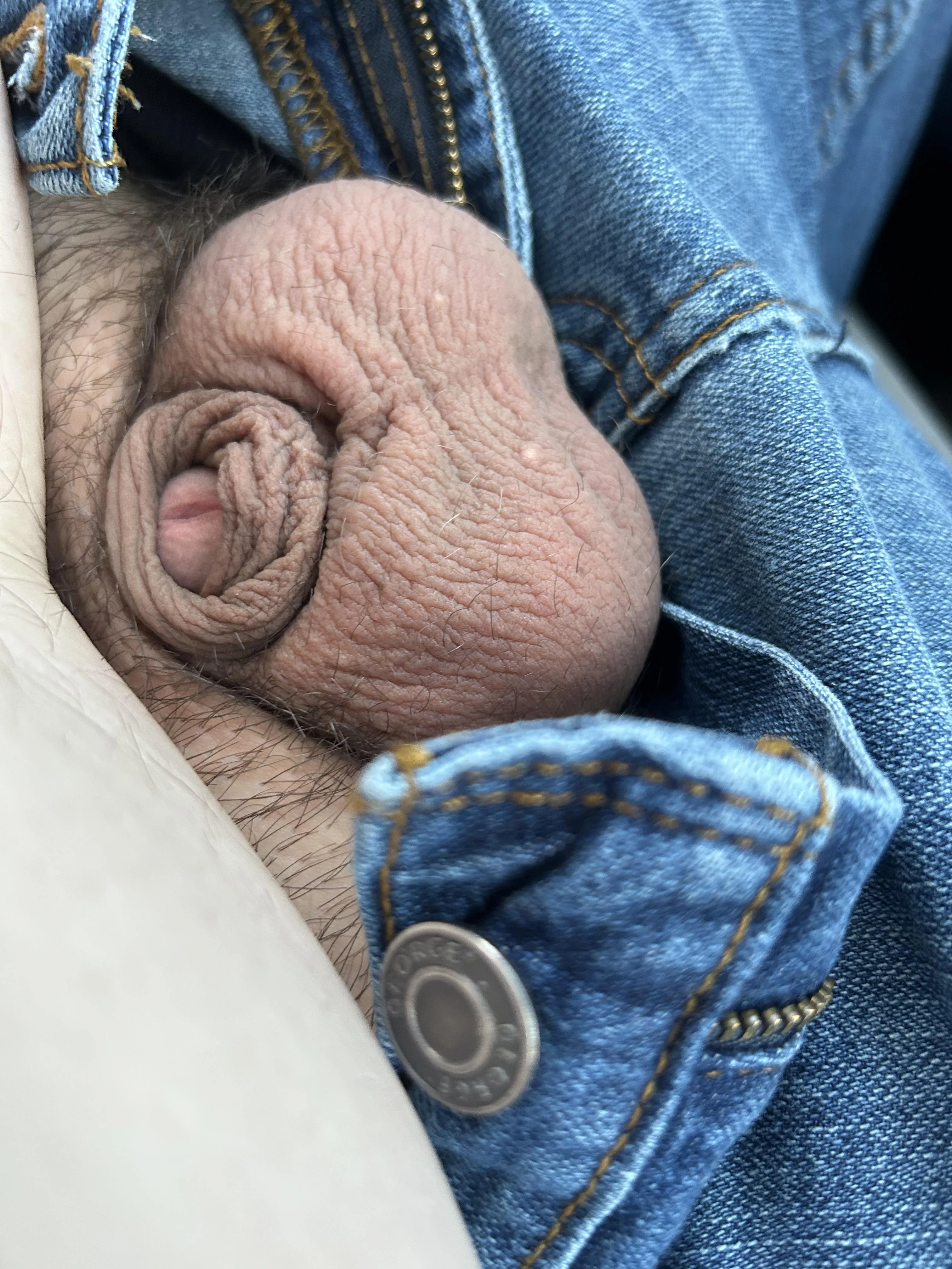 I tried but he’s shy!