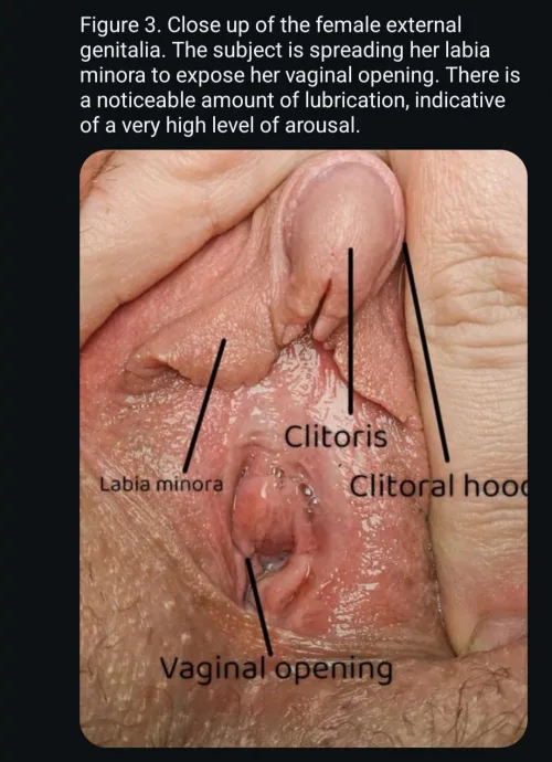 Reduce me to nothing but my vagina. I am a walking fuckhole