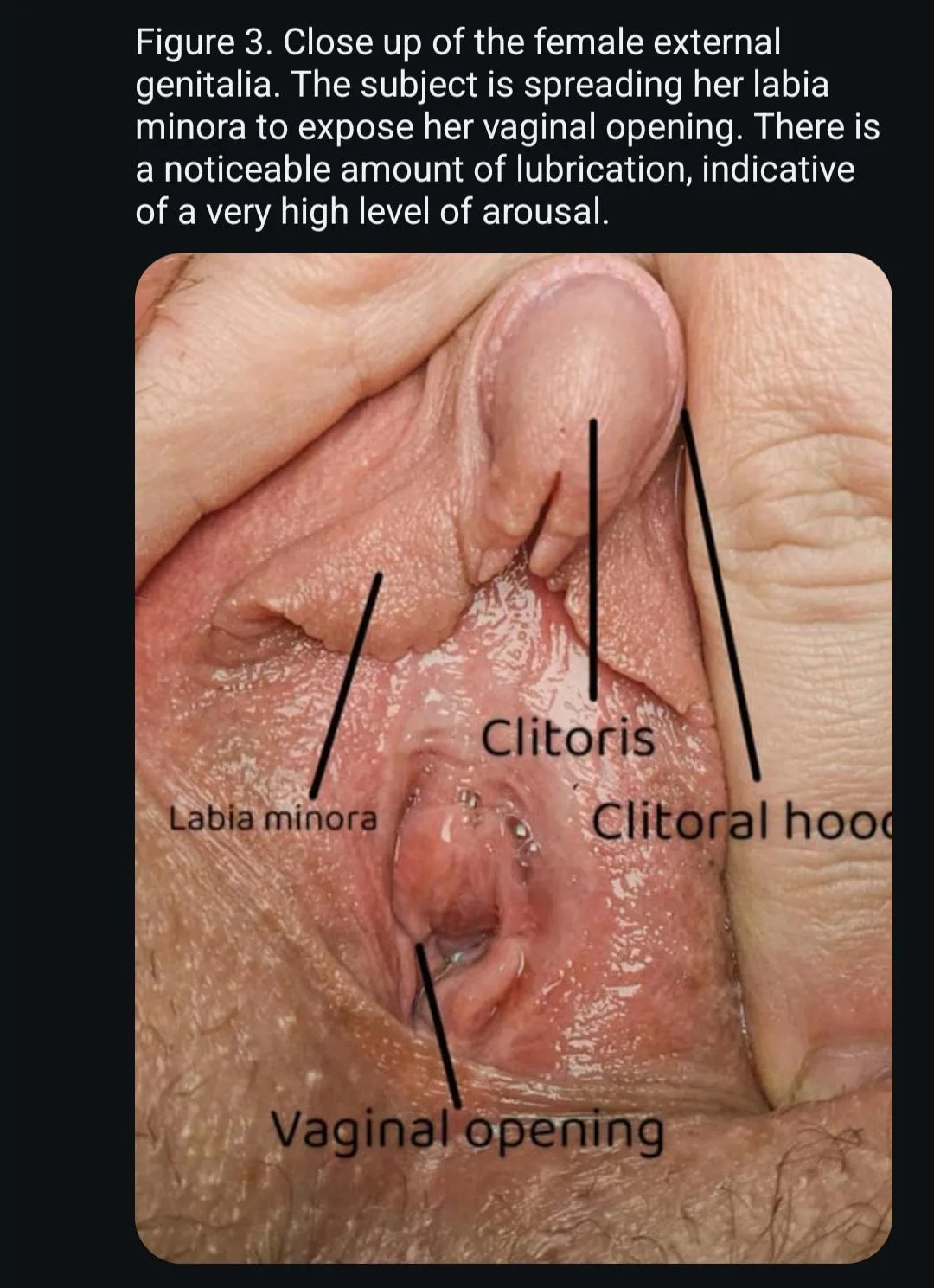 Reduce me to nothing but my vagina. I am a walking fuckhole