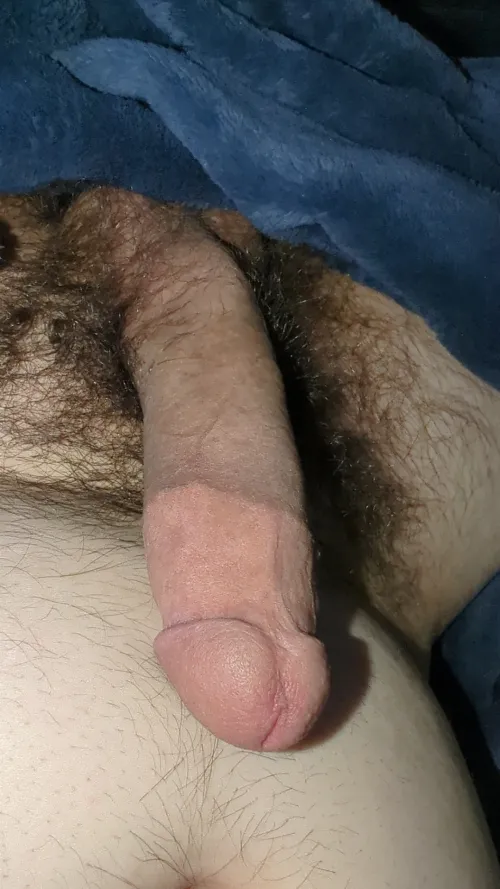Single iowan cock 33