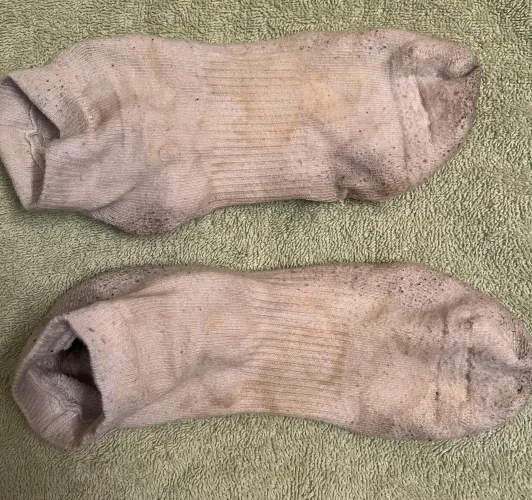 Sorry I came on your socks (multiple times)…