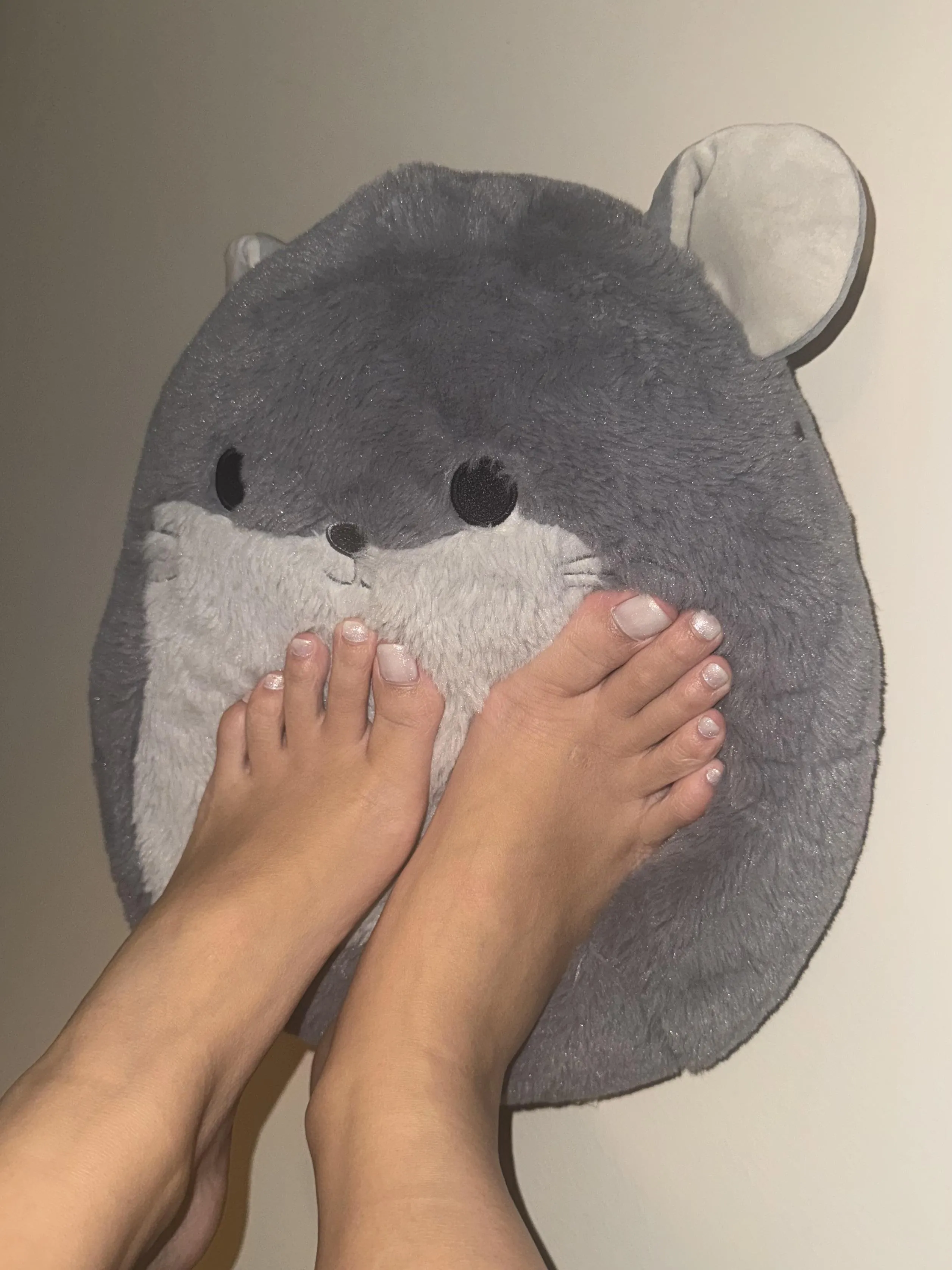 anybody have a favorite squishmallow??