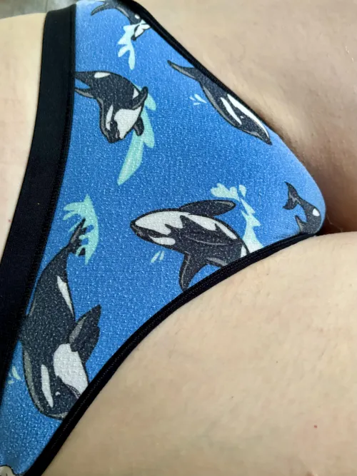 Come swim with the fishes (ok fine they are mammals 💙)