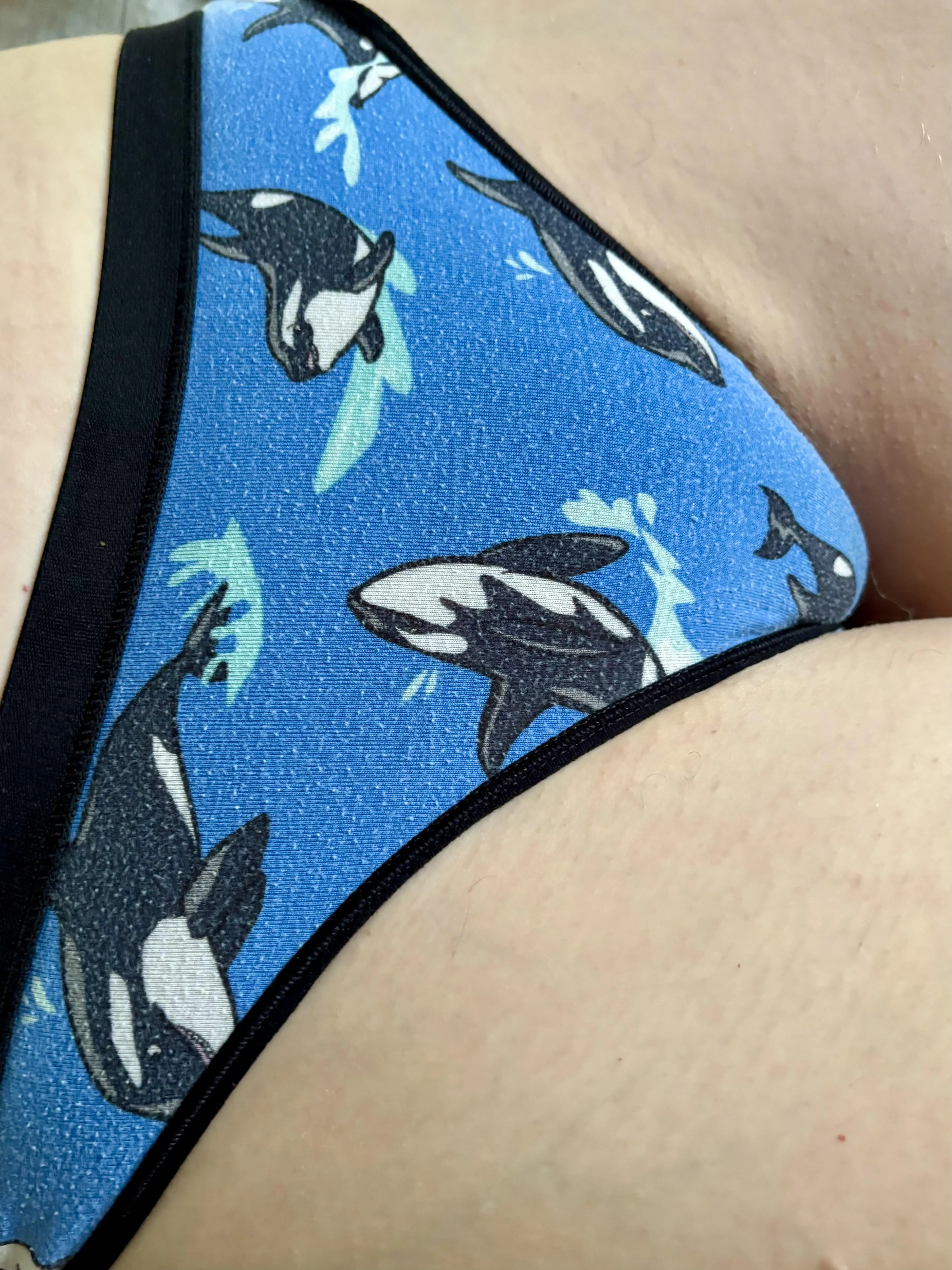 Come swim with the fishes (ok fine they are mammals 💙)