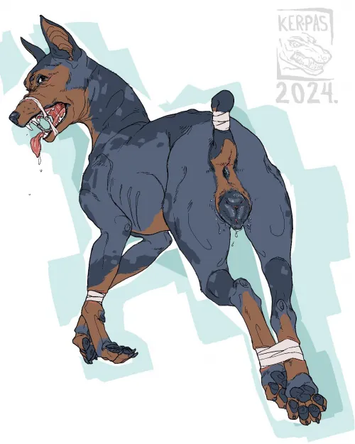 Smash or Pass? ;3 (kerpas) [f]