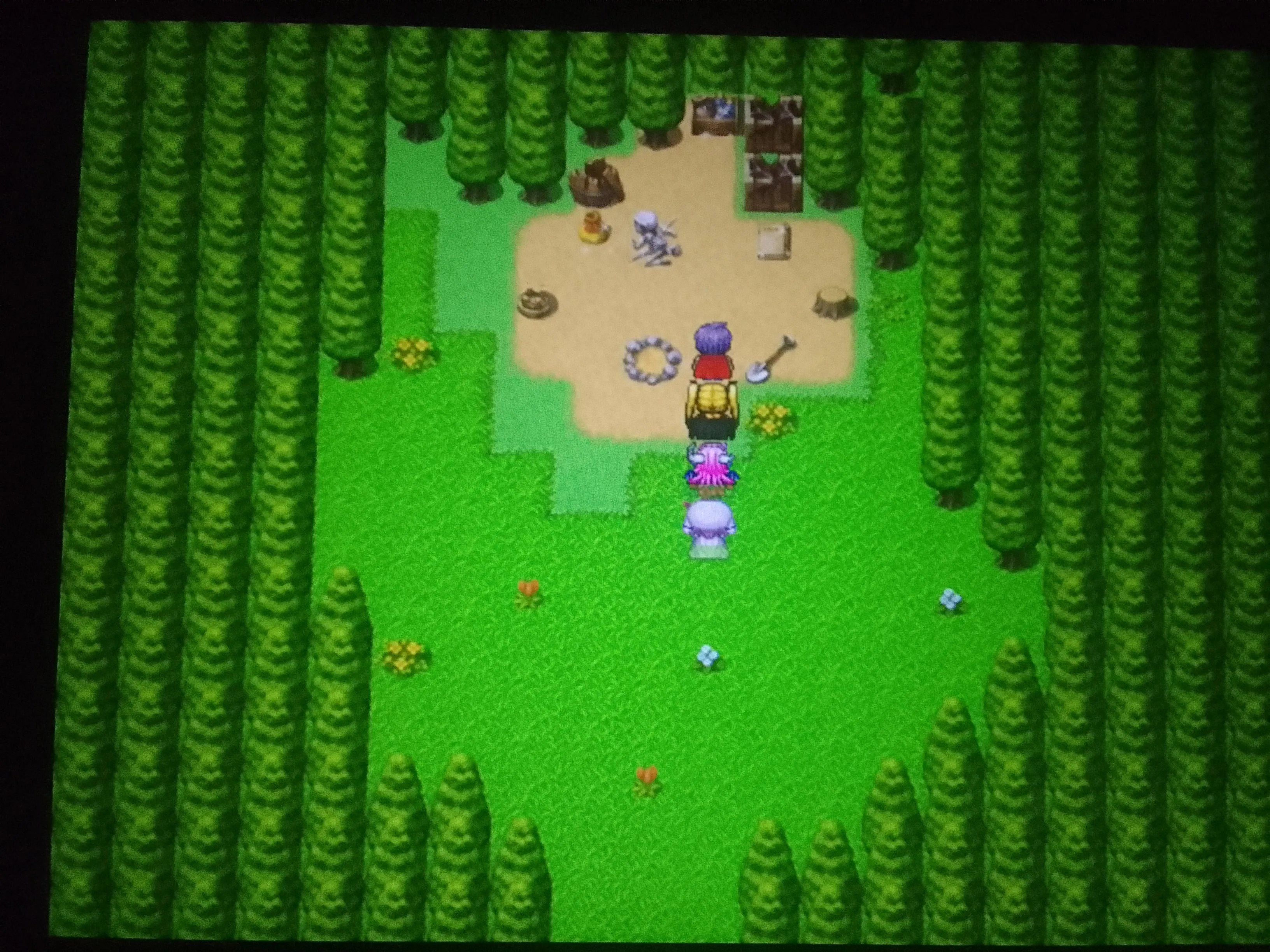 What's on this island?