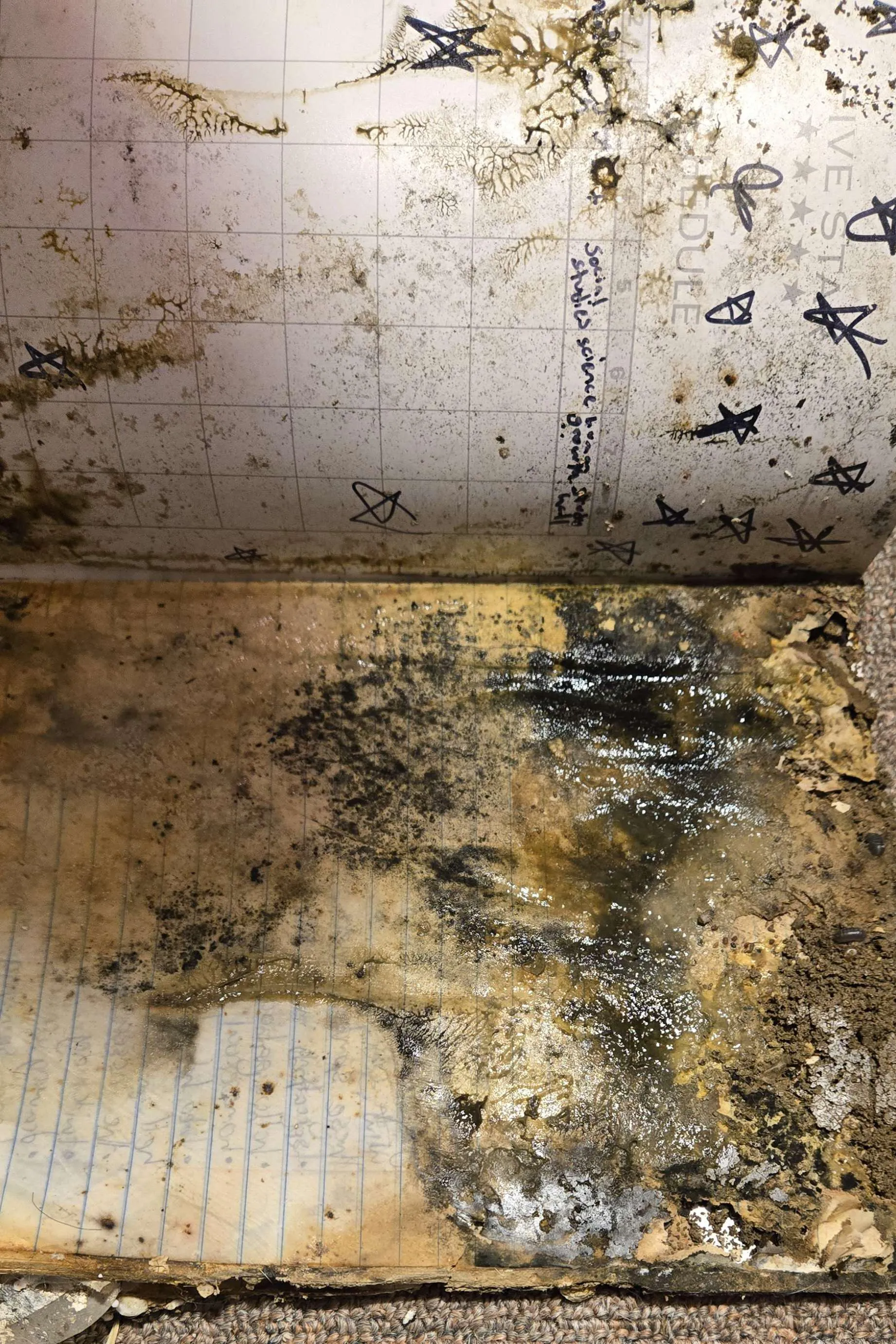 A pipe leak drenched this notebook in water and it wasn't taken care of for months