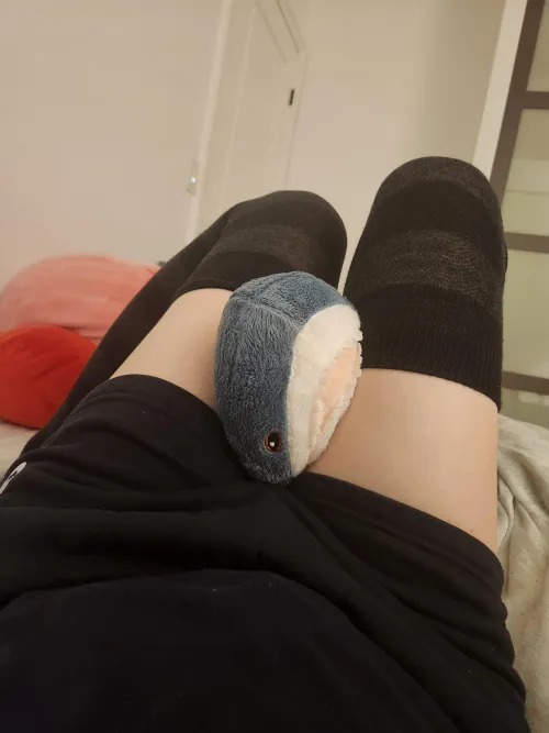 blahaj enjoying thighsss :3c