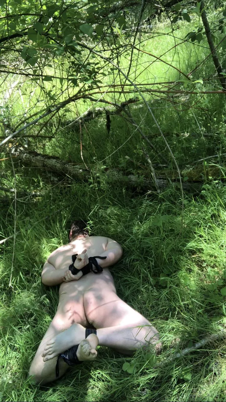 Hogtied in the grass