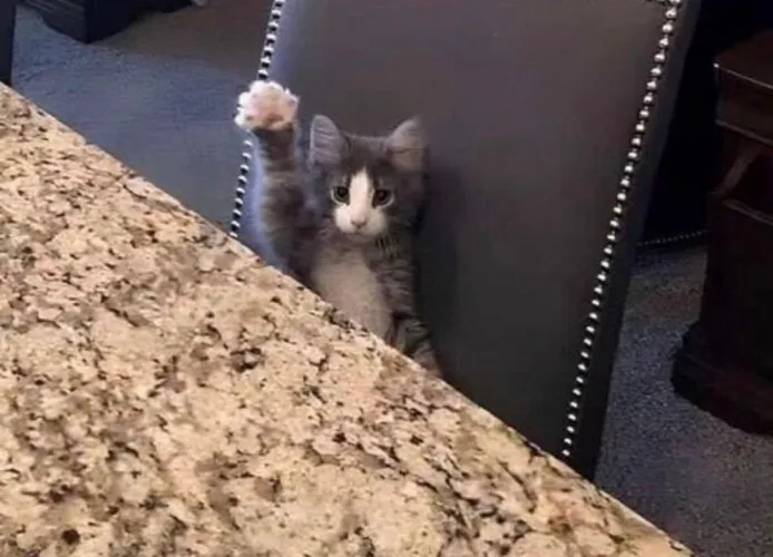 How do I start doing this stuff.