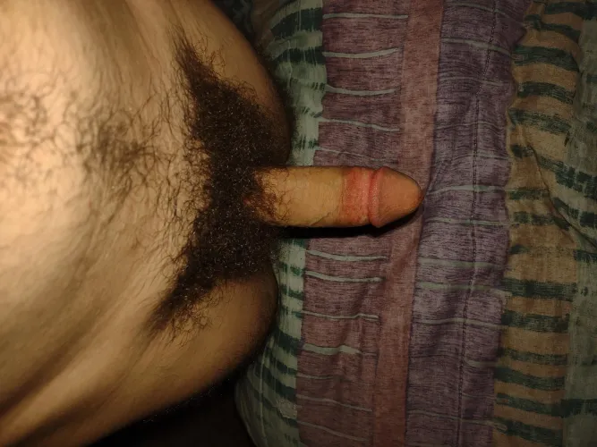 23 bi. Va/NC stateline. DM open. Prefer older