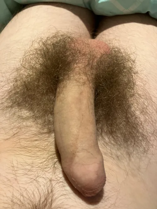 33 natural NZ dick