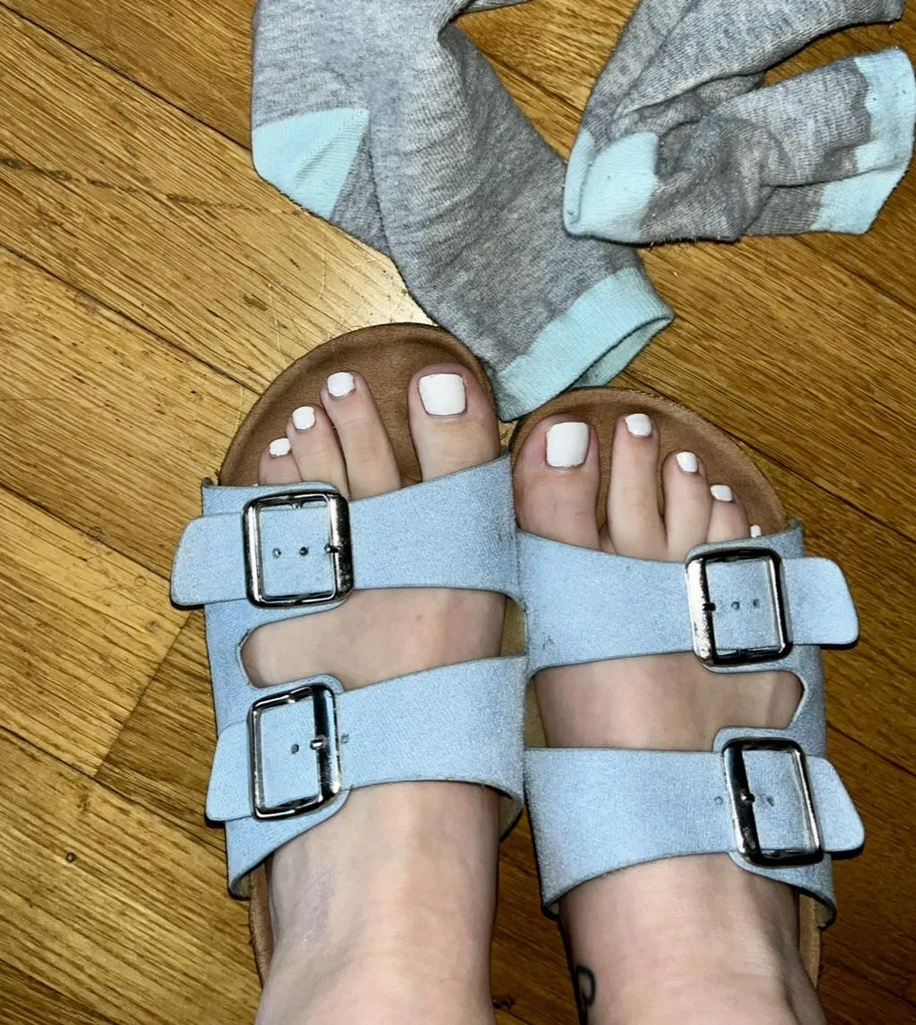 How do they look like ?