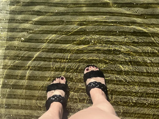 [OC] the spring water makes my feet look so pretty