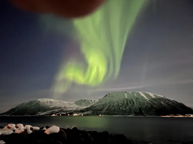 Saw the Nutern lights