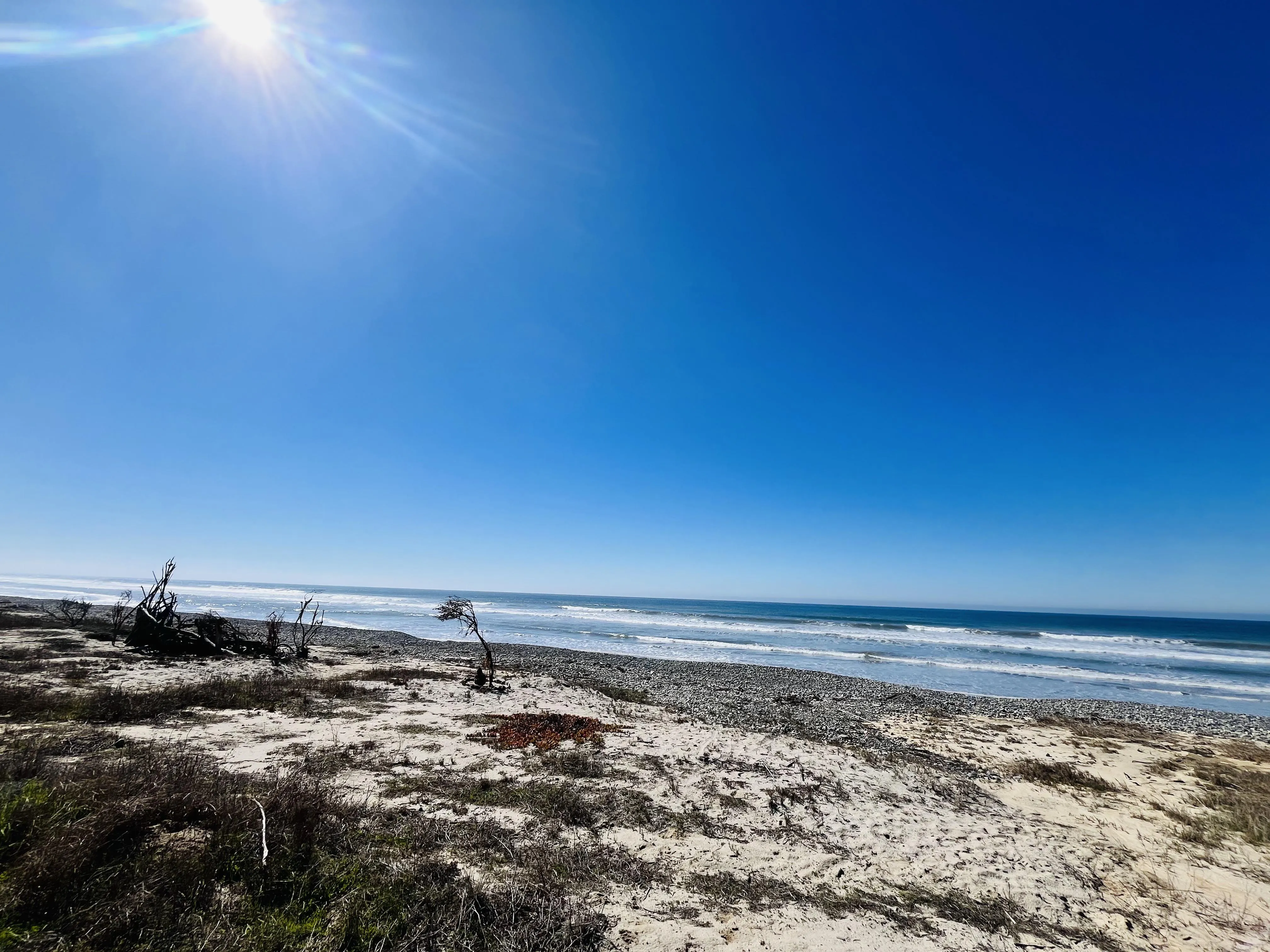 Sunny and 63 but the sun feels really warm! Like in the 70s