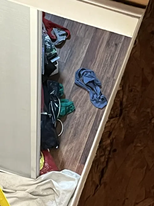 Homeowner left her dirty panties out