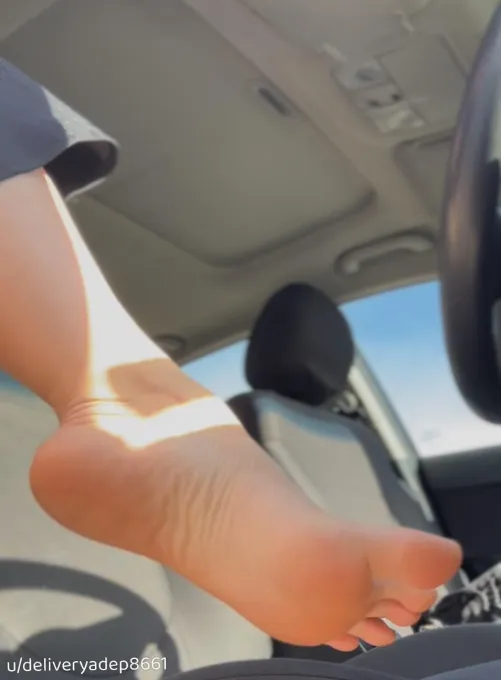 Soft and pretty in the sun