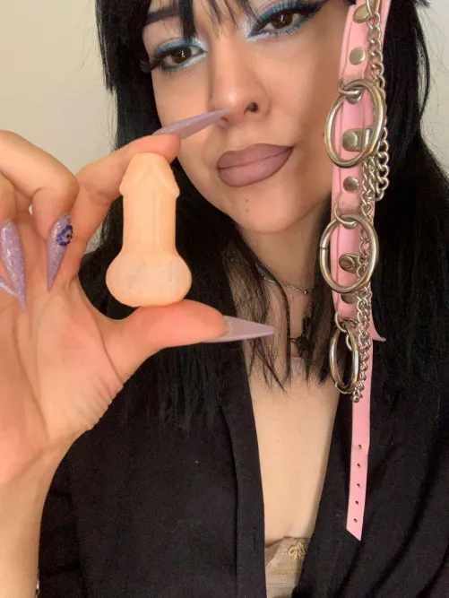 You'll wear whatever I say and you'll be my whore for that clitoris you have between your legs!