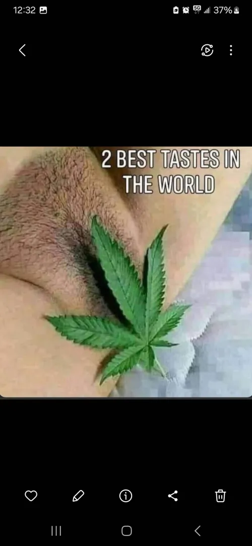 M4f Florida let me smoke you out then eat you out