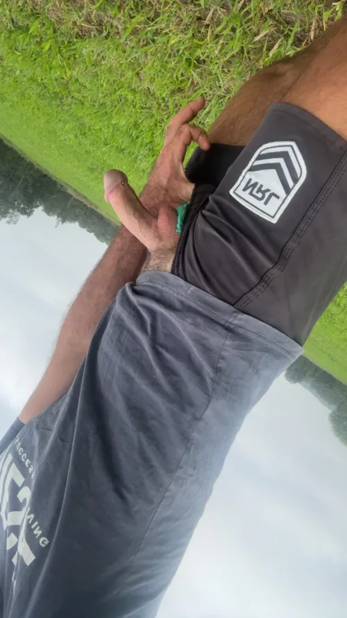 Morning walk on the farm