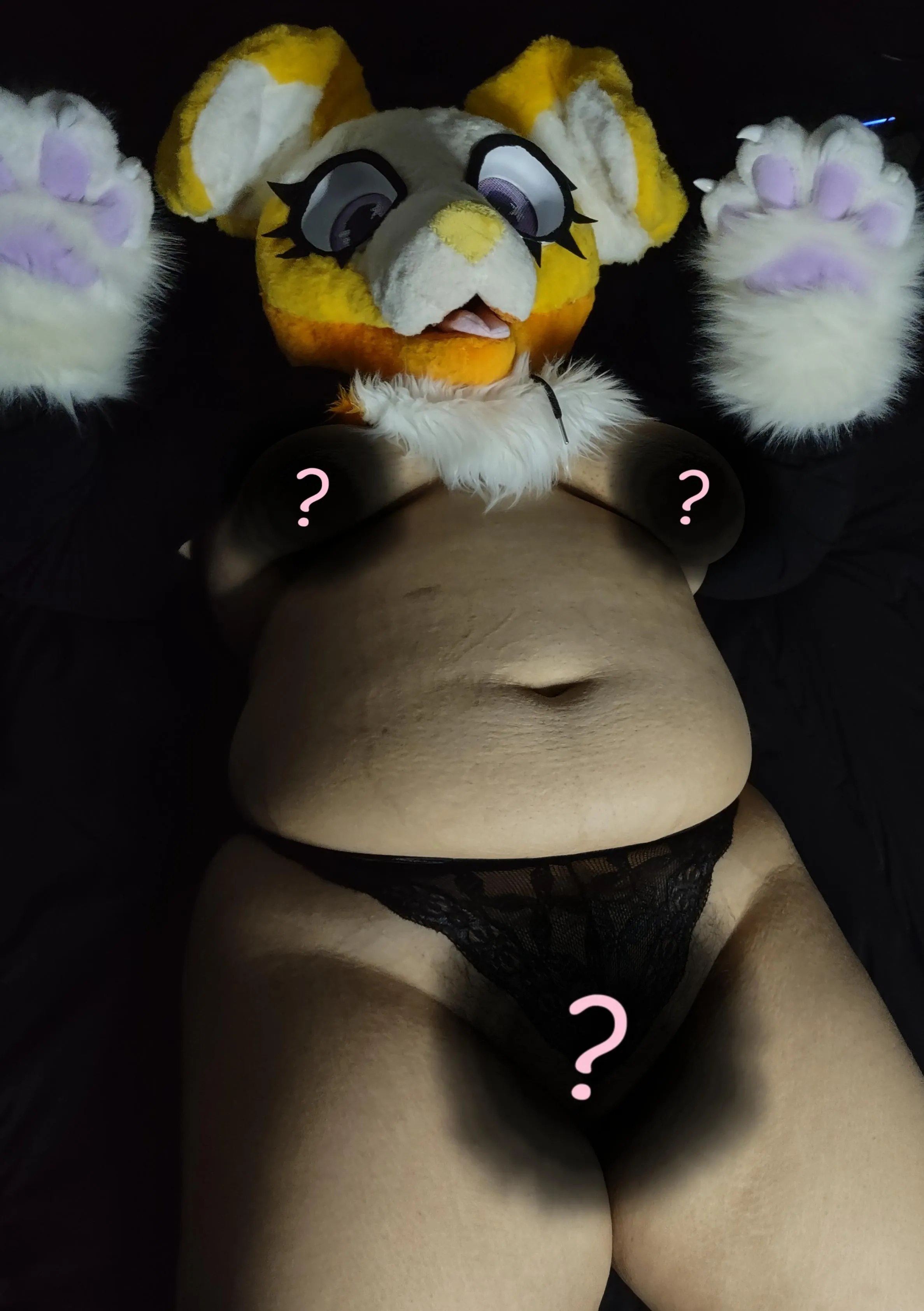 Ready for belly rubs~!! >:33