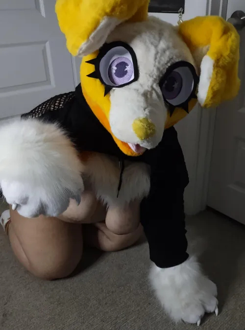 This puppy will throw you a bone- tits uncensored~! ;3