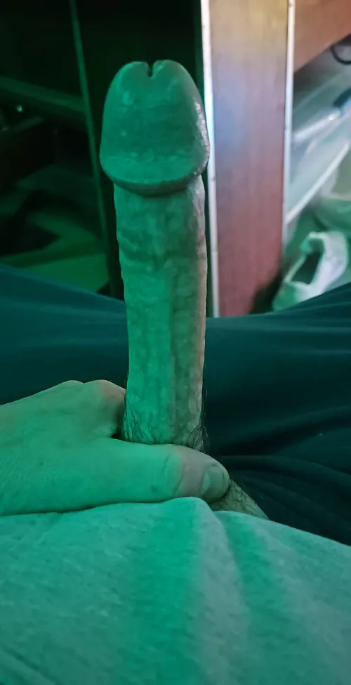 Trying to find a weekday jerk bud to stroke and maybe try frotting with in Anne Arundel county