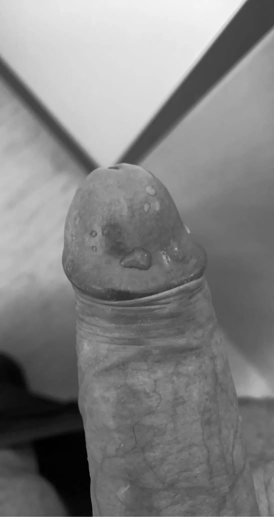 Wat vinden jullie hiervan?