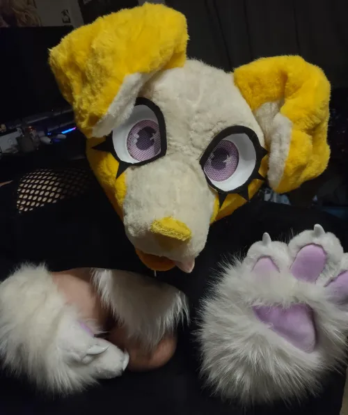 Who else is also up this late super horny? 🥺🩷