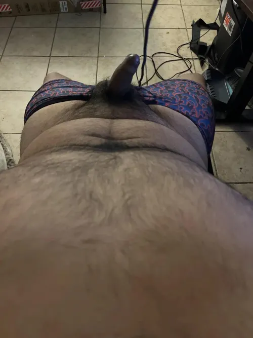 28 Gessner / Bissonet need help