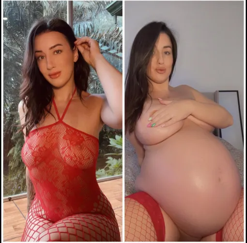 2nd time MILF Vs pregnant for the 3rd time with twins. Which do you prefer?