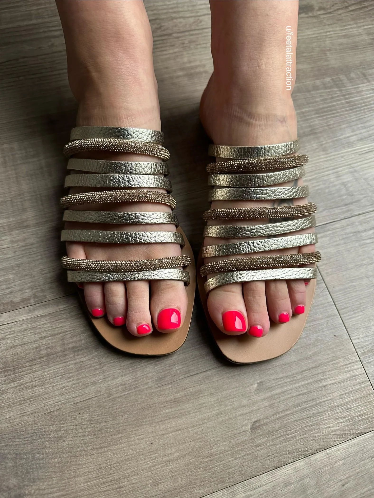 Bound and ready to be shown off!