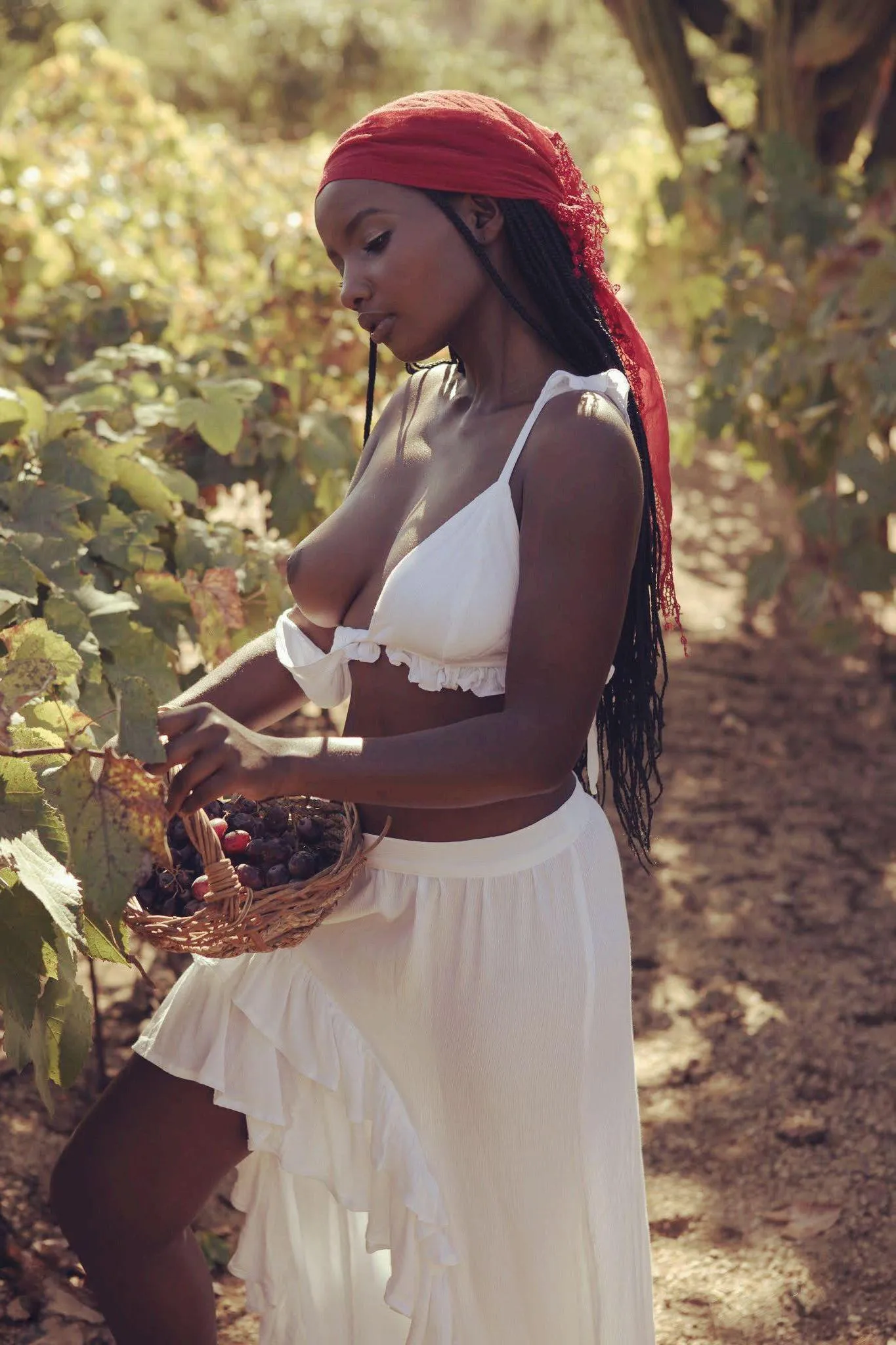 Brown maiden harvesting grapes