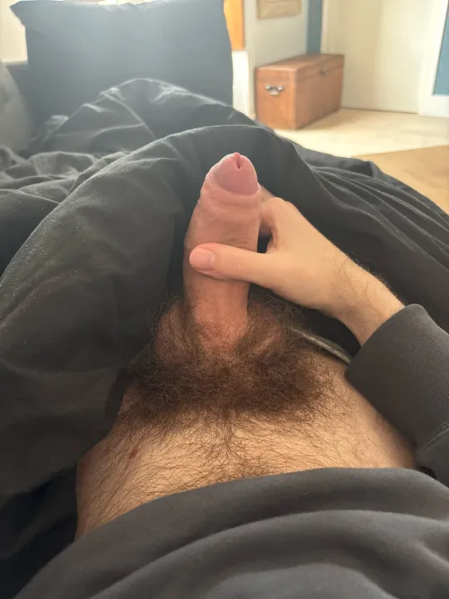 Envie qu’on me suce et qu’on me baise