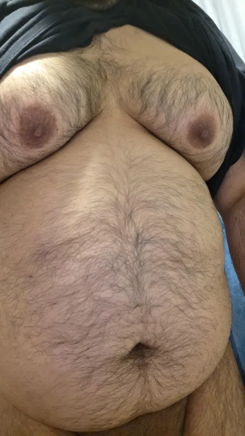 Hairy chub
