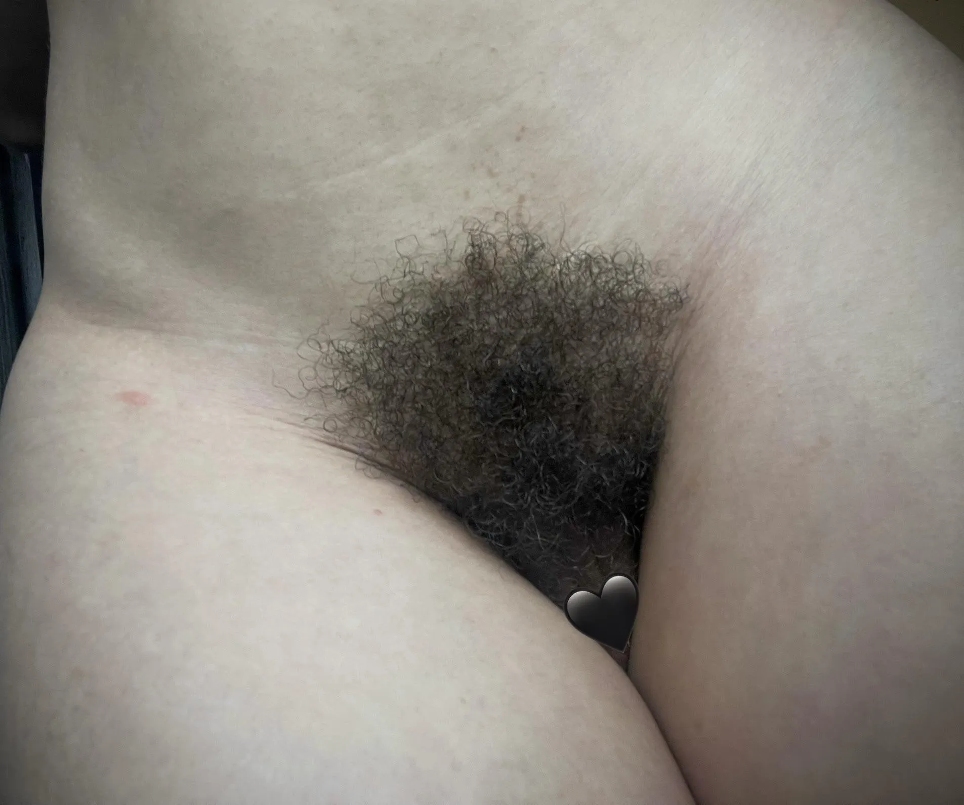 How You Like My Bush🌳