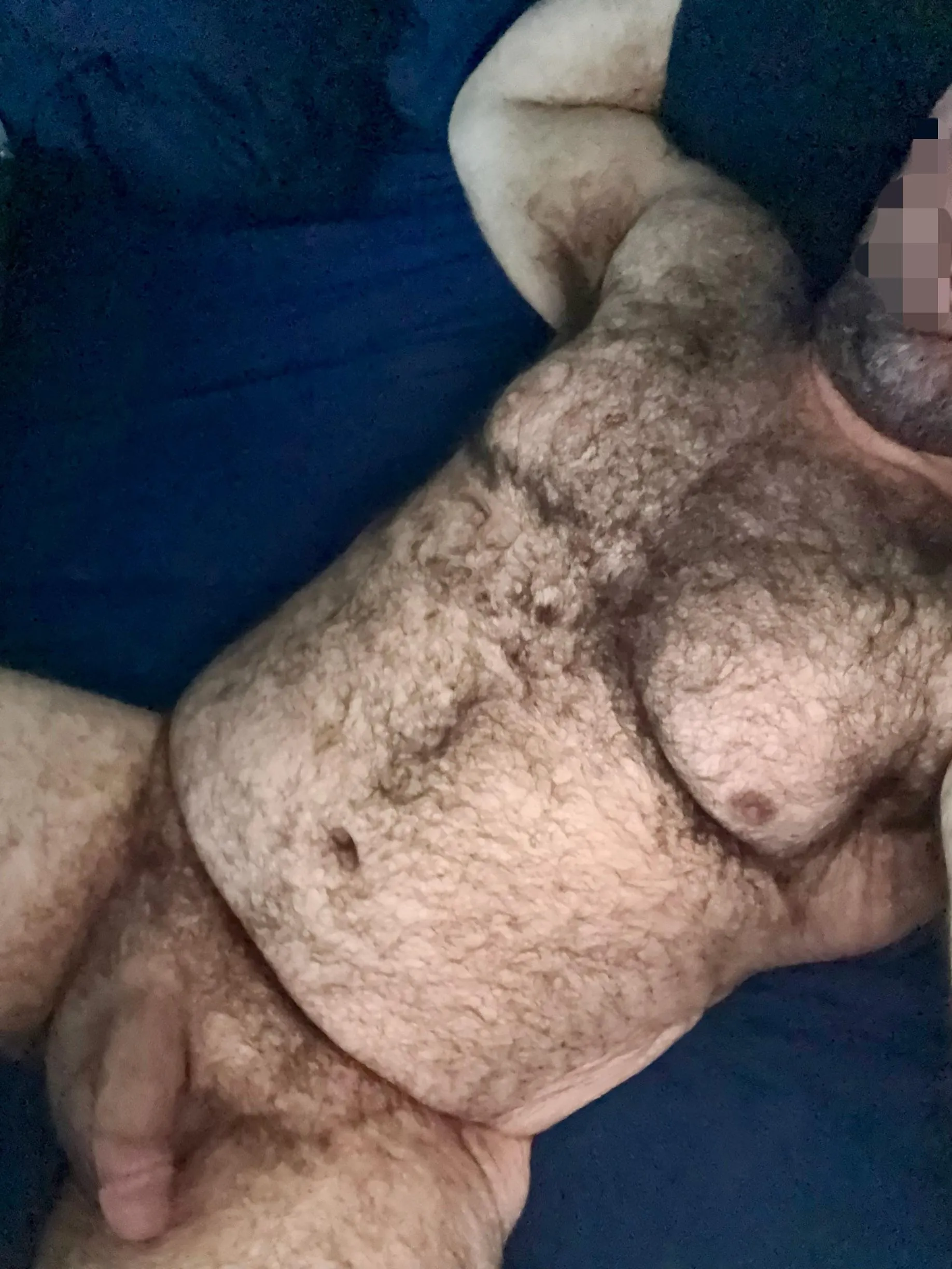 I’ve been told I’m a great cuddler but I insist you come find out for yourself