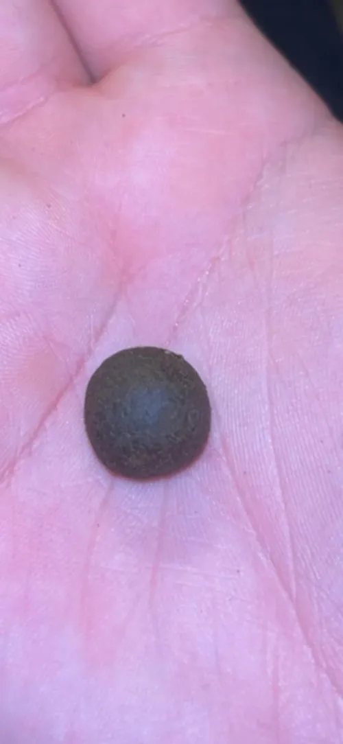 La mousse som er bra nok til å lage baller med