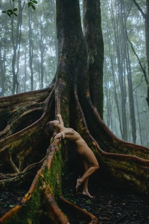 me and the tree of life