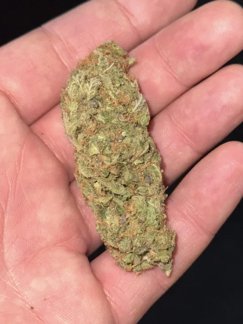 Naturmedisin🌱🌳