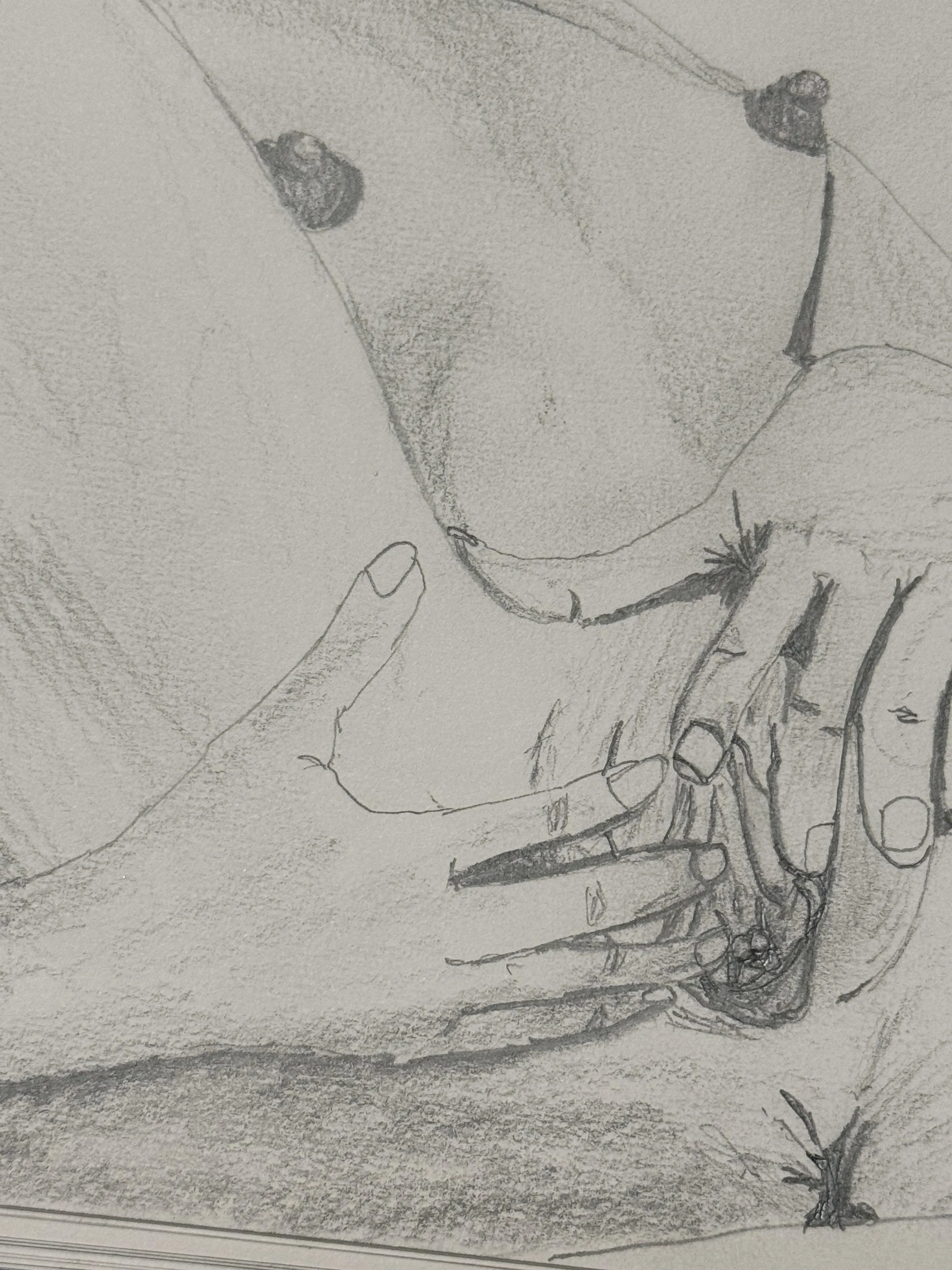 Perspective/Laurena. Drawn by me