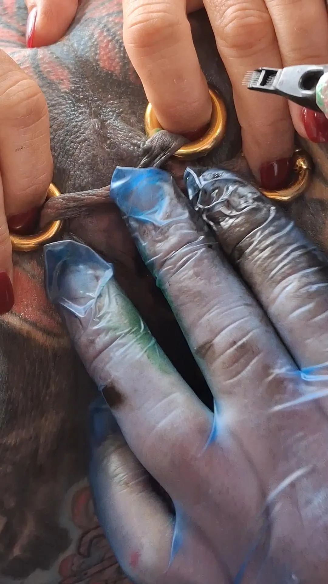 Putting the rings to good use. https://onlyfans.com/piercedntattooed https://fansly.com/piercedntattooed for the videos.