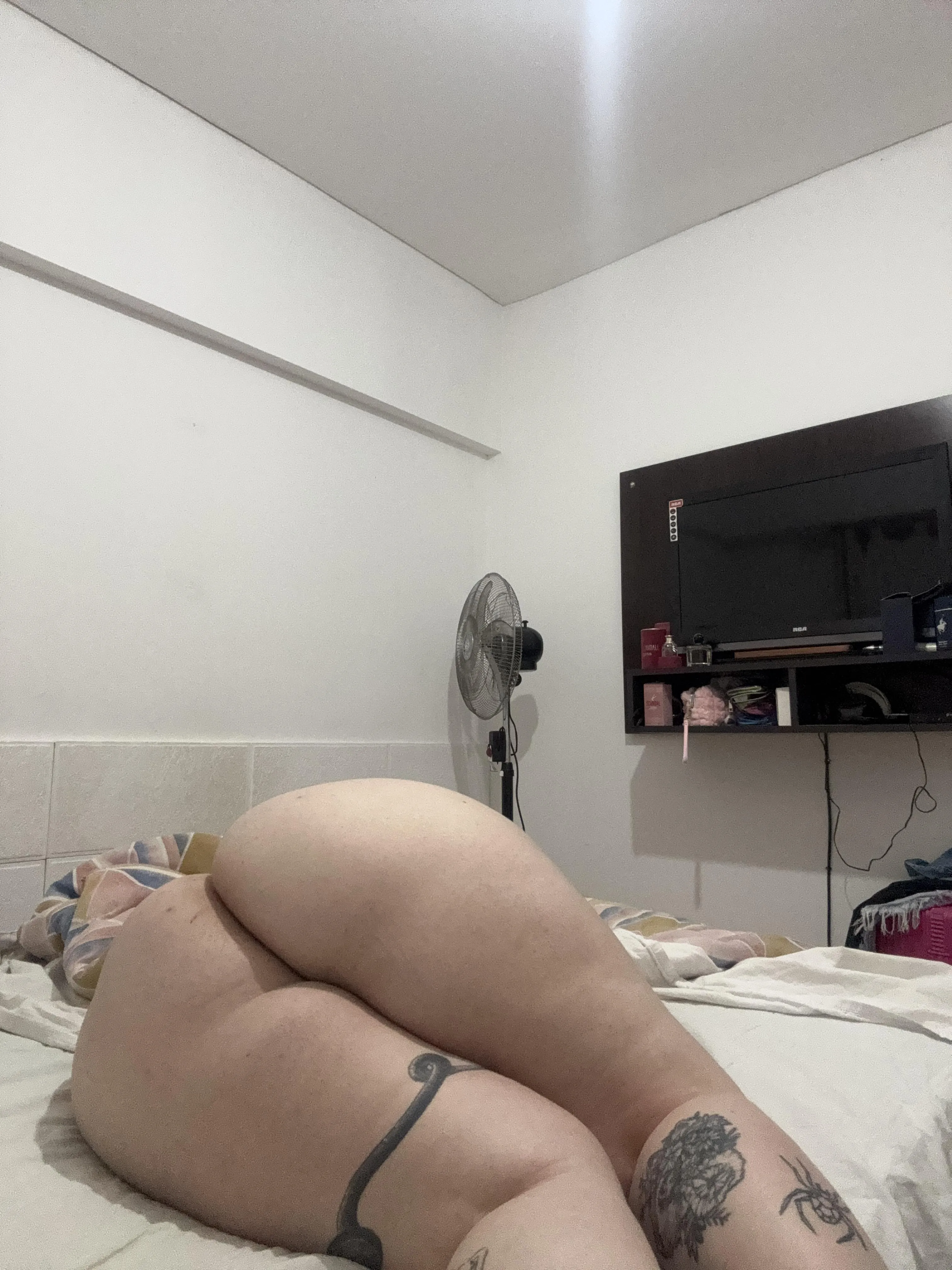 Say yes if I'm fit to have sex with you