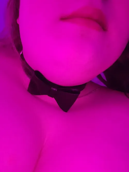 Silly puppy left her collar at my house so i took a pic wearing it hehe