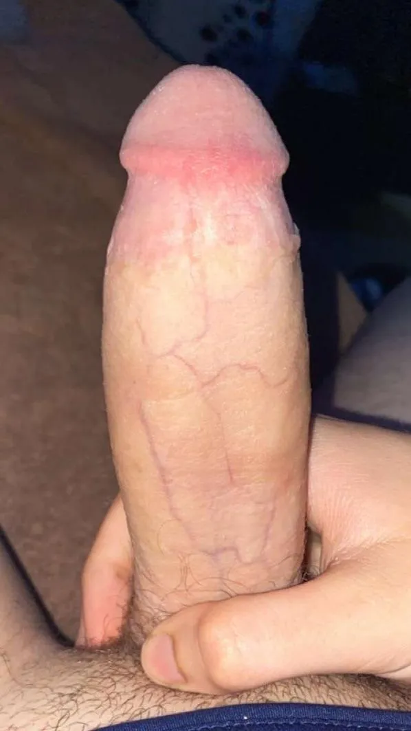 someone link 18m NOR