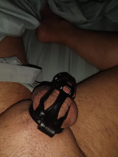 Sometimes it just has to be locked for its own good!