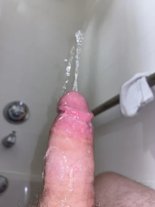 Standing tall and proud